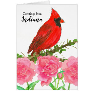Greetings from Indiana Cardinal Watercolor Bird