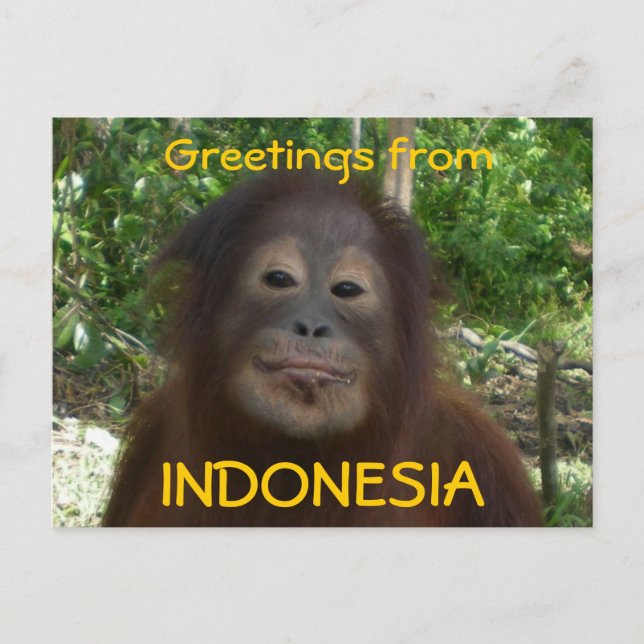 Greetings from INDONESIA Photo Postcard (Front)