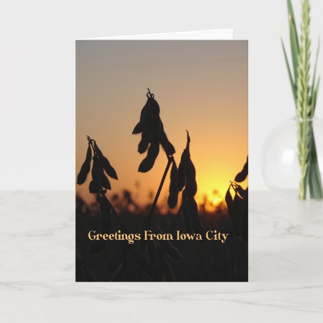 Greetings From Iowa City, Soybeans at Sunset Card (Front)