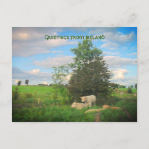 Greetings from Ireland Photograph Postcard