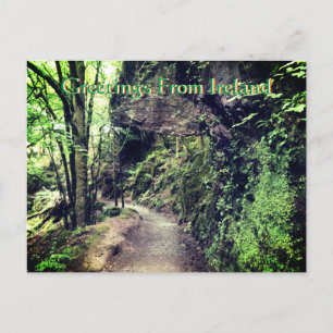 Greetings From Ireland Postcard