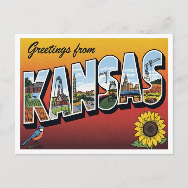 Greetings from Kansas Sunflower Postcard (Front)