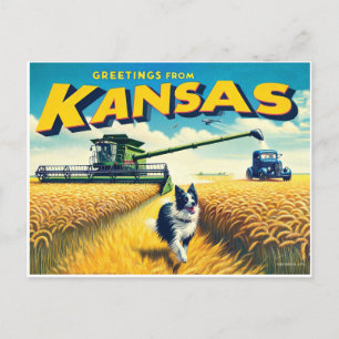 Greetings From Kansas Wheat Combine Border Collie Postcard
