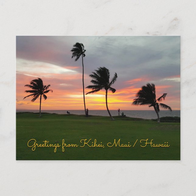 Greetings from Kihei, Maui / Hawaii Postcard (Front)