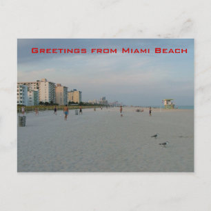 Greetings from Miami Beach Postcard