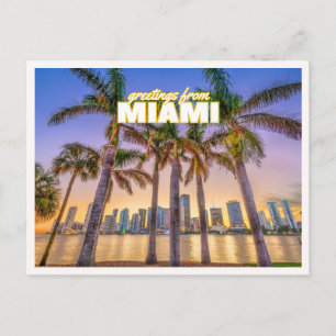 Greetings from Miami Florida Retro Palm Tree Photo Postcard