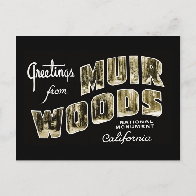 Greetings from Muir Woods National Monument Postcard (Front)