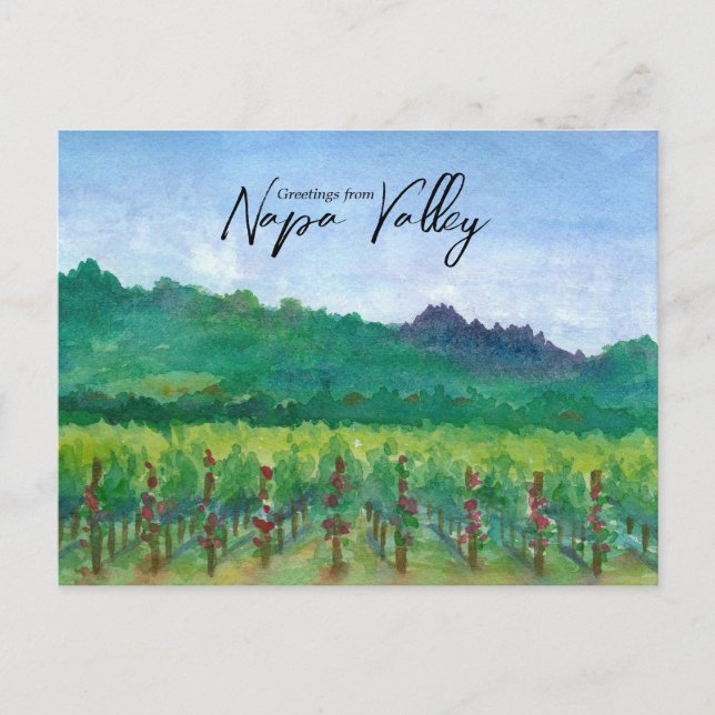 Greetings From Napa Valley Vineyard Red Roses  Postcard (Front)