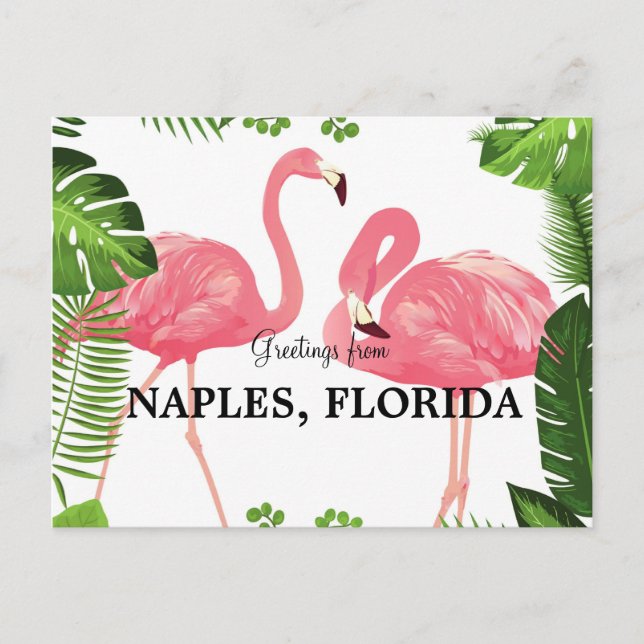 Greetings from Naples, Florida Postcard (Front)