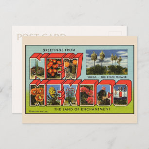 Greetings from New Mexico Postcard