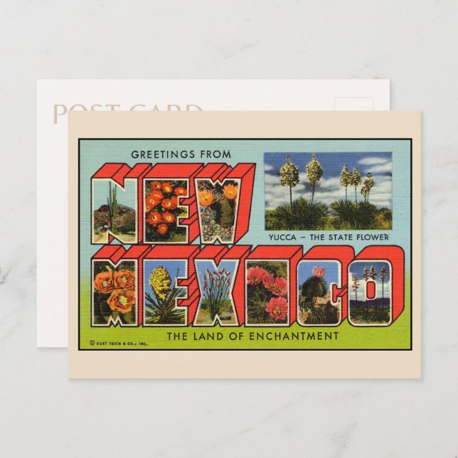 Greetings from New Mexico Postcard (Front/Back)
