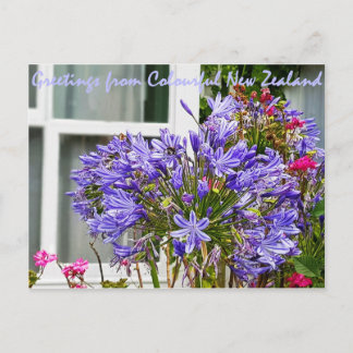 Greetings from New Zealand Postcard