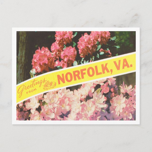 Greetings from Norfolk, Virginia Vintage Travel Postcard (Front)