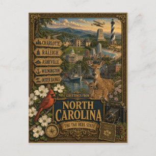 Greetings From North Carolina Vintage Retro Art Postcard