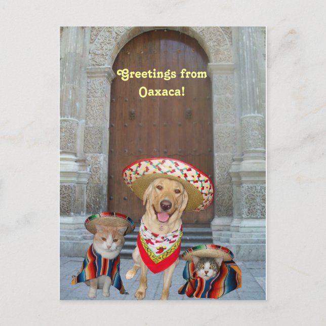Greetings from Oaxaca Postcard (Front)