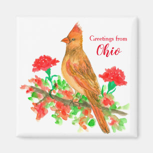 Greetings from Ohio Cardinal State Bird Magnet