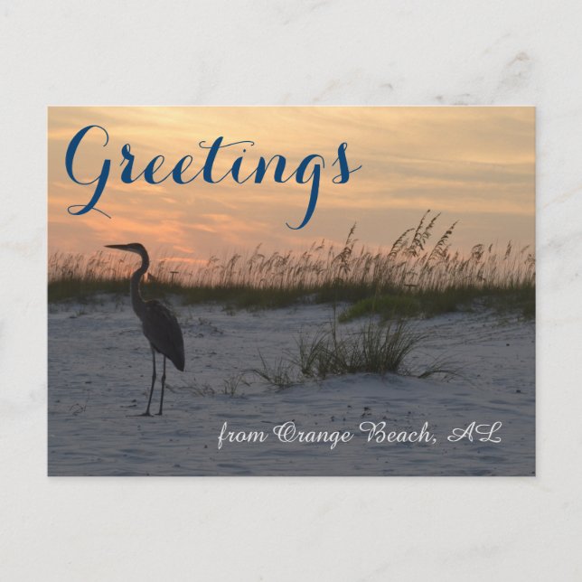 Greetings from Orange Beach, AL Postcard (Front)