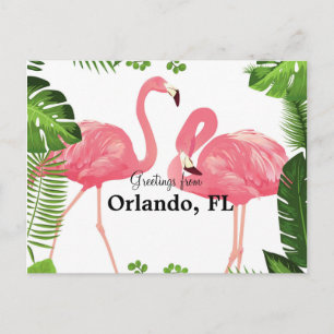 Greetings from Orlando, FL--pink flamingos Postcard