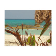 Greetings from Paradise!