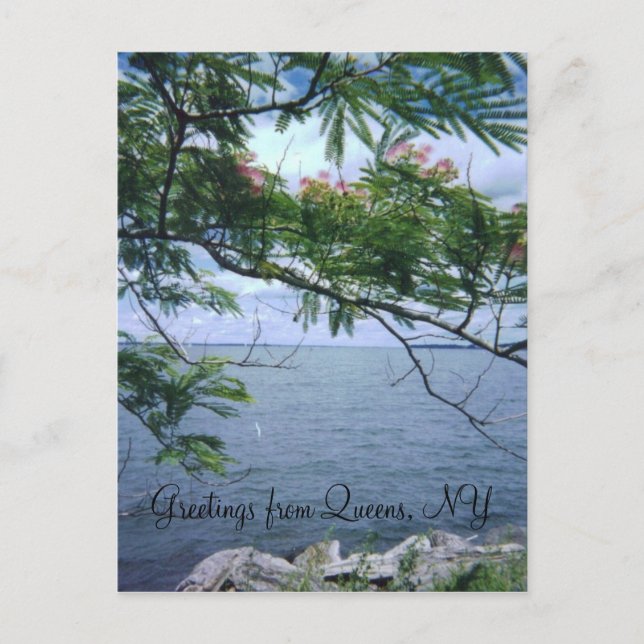 Greetings from Queens Postcard (Front)