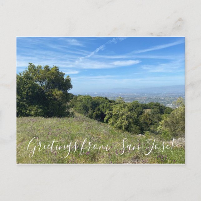 Greetings from San Jose! Postcard (Front)