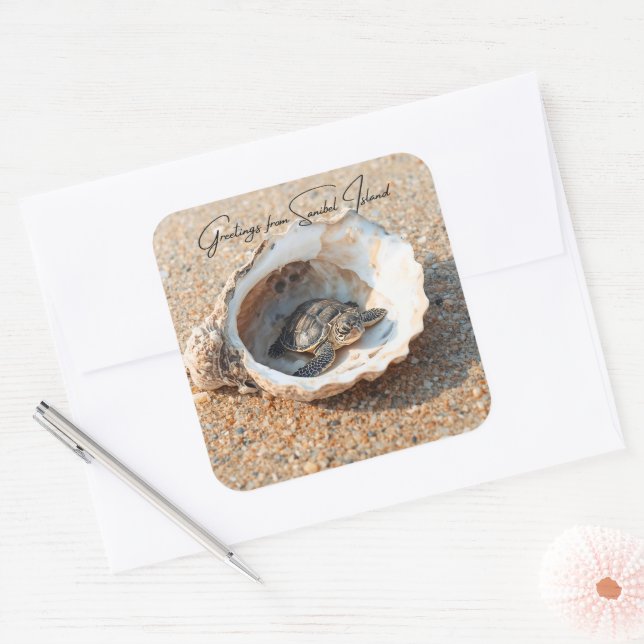 Greetings from Sanibel Island Sea Turtle in Shell Square Sticker (Envelope)