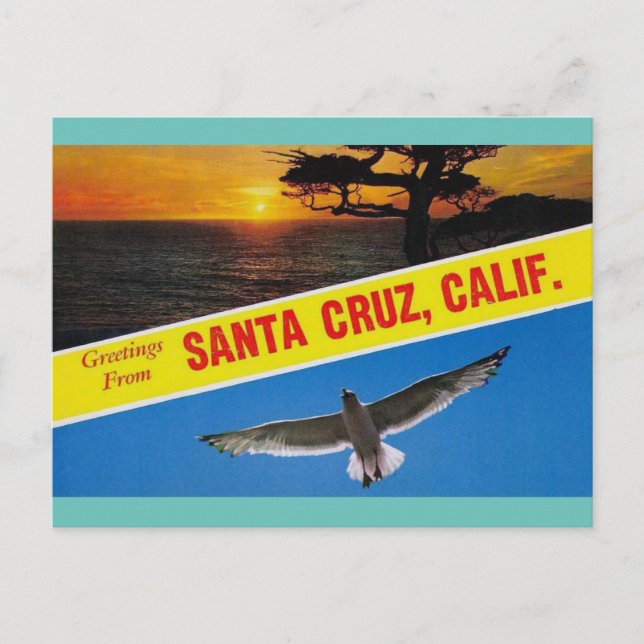 Greetings from Santa Cruz California Travel  Postcard (Front)