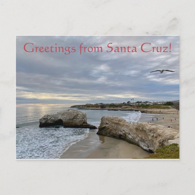 Greetings from Santa Cruz! Postcard (Front)