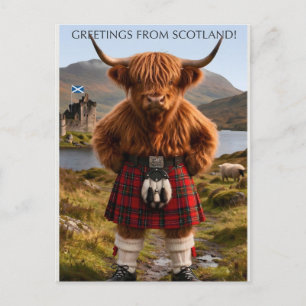 "Greetings From Scotland" Highland Cow Design Postcard