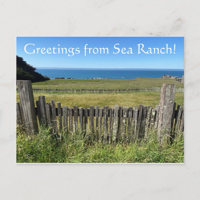 Greetings from Sea Ranch Postcard (Front)