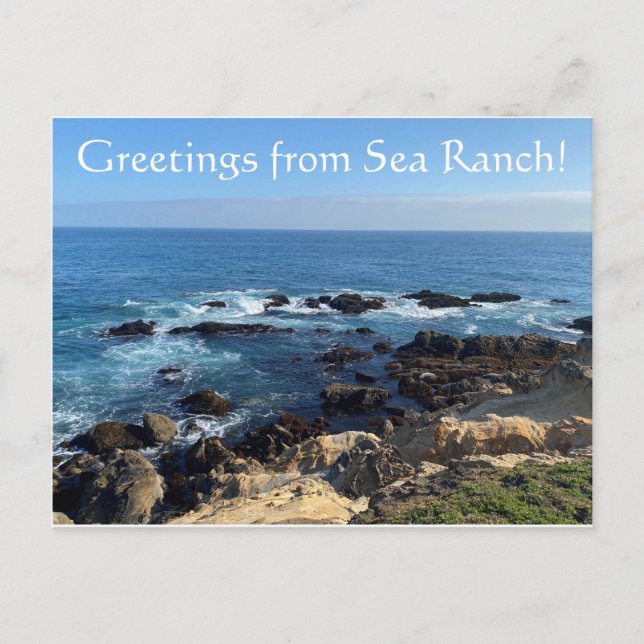 Greetings from Sea Ranch! Postcard (Front)