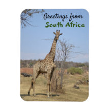 Greetings From South Africa