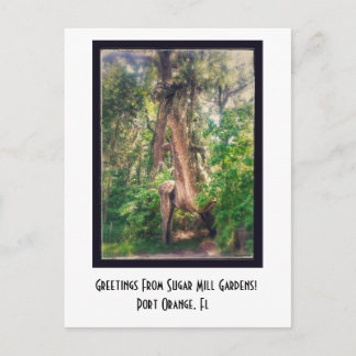 Greetings From Sugar Mill Gardens Postcard