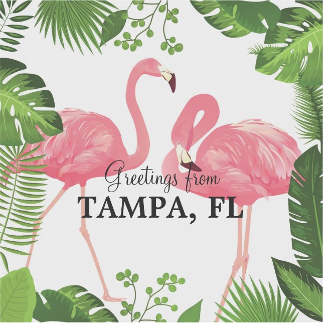 Greetings from Tampa, Florida (Front)