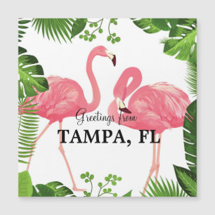 Greetings from Tampa, Florida