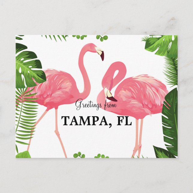 Greetings from Tampa, Florida Postcard (Front)