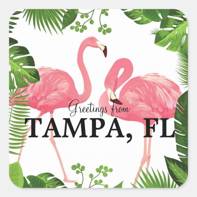 Greetings from Tampa, Florida Square Sticker (Front)