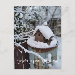 GREETINGS FROM TENNESSEE winter birdhouse photo | Postcard