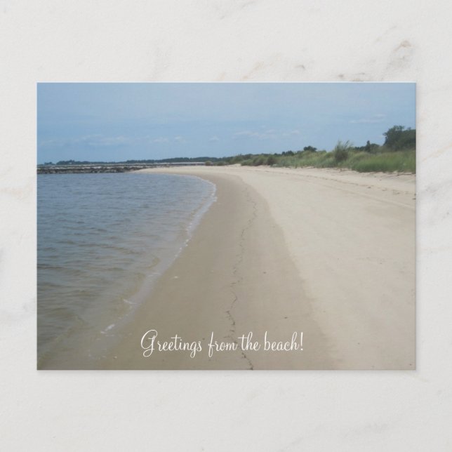 Greetings from the beach! postcard (Front)