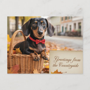 "Greetings from the Countryside" Dachshund  Postcard