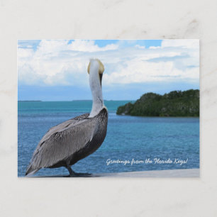 Greetings from the Florida Keys postcard