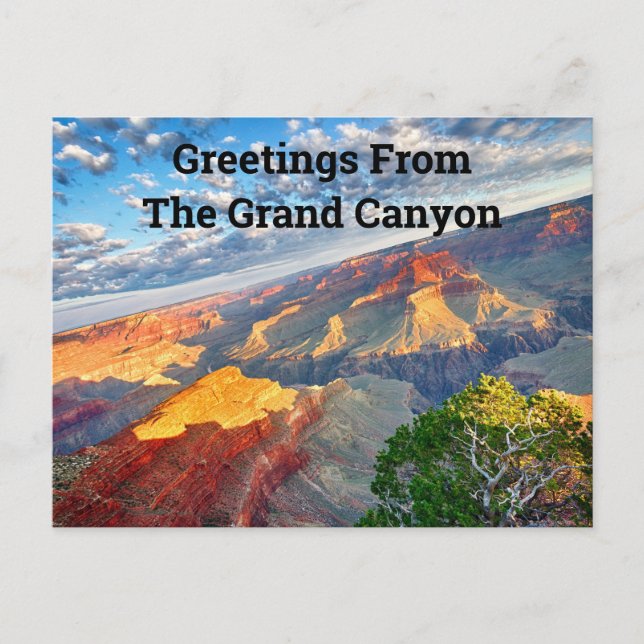 Greetings From the Grand Canyon  Postcard (Front)