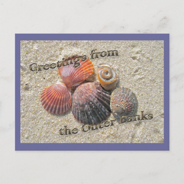 Greetings from the Outer Banks Seashells Postcard (Front)