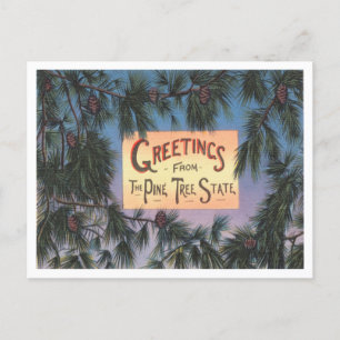Greetings from the Pine Tree State, Maine Travel Postcard