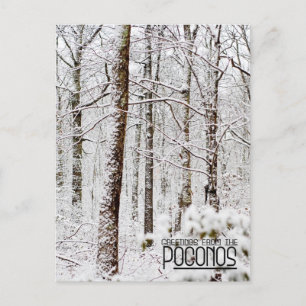 Greetings from the Poconos! Snowy Pocono Woodlands Postcard