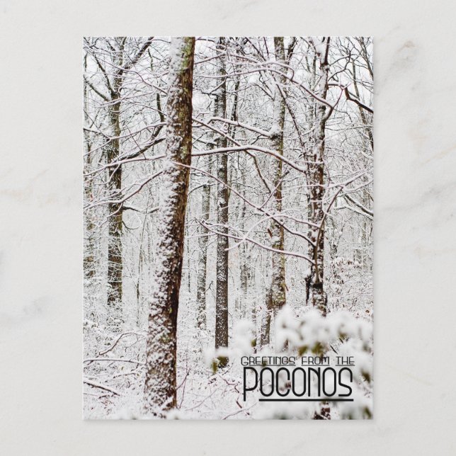 Greetings from the Poconos! Snowy Pocono Woodlands Postcard (Front)