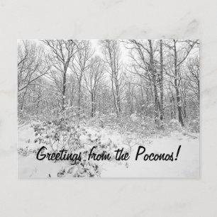 Greetings from the Snowy Poconos Postcard