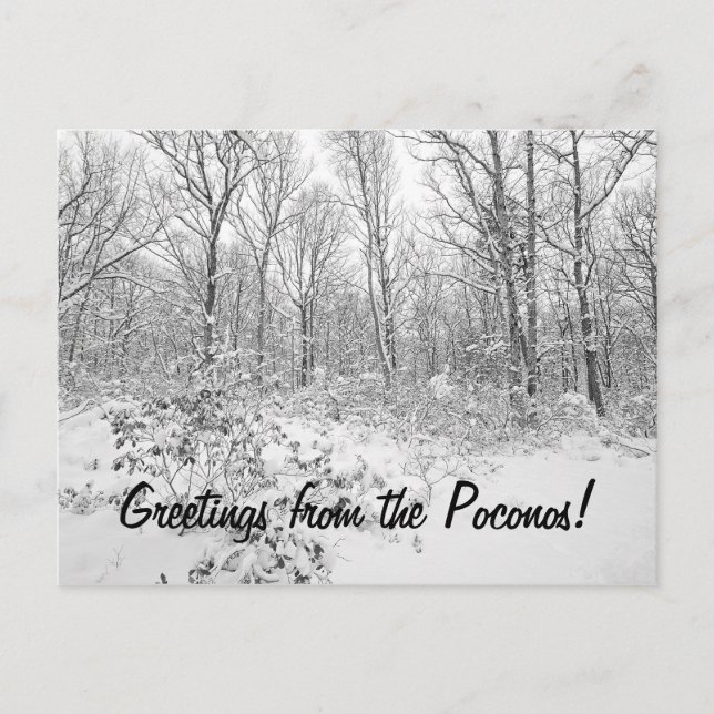 Greetings from the Snowy Poconos Postcard (Front)