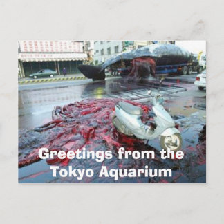 Greetings from the Tokyo Aquarium Postcard