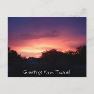 Greetings from Tucson! Postcard